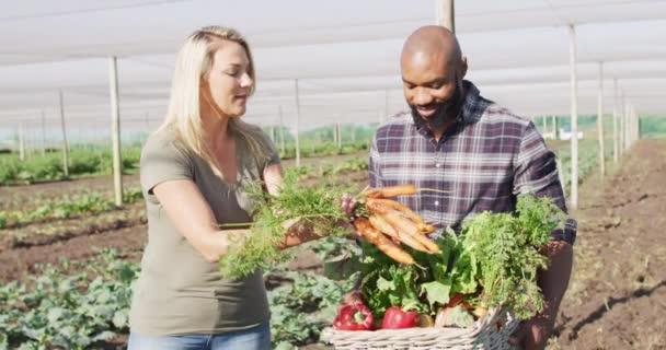 视频中快乐多样的女人和男人拿着篮子新鲜蔬菜 站在温室里 现代有机农场 农业企业和技术概念 — 图库视频影像