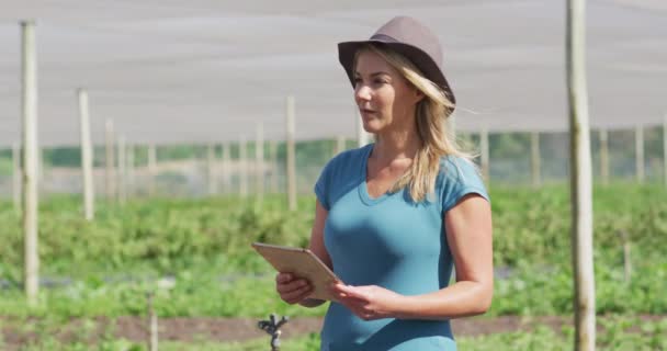 Vídeo Una Mujer Caucásica Con Comprimido Pie Invernadero Agricultura Orgánica — Vídeo de stock