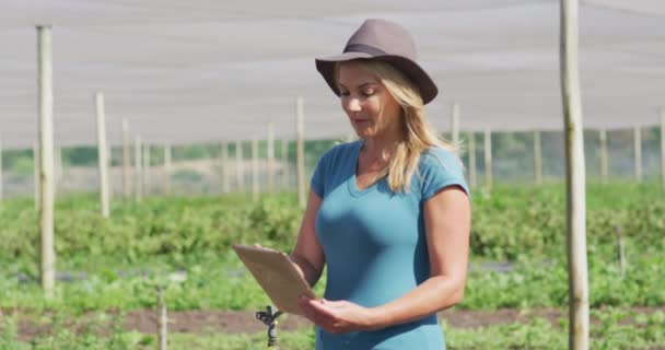 Vídeo Mulher Caucasiana Com Tablet Estufa Agricultura Orgânica Moderna Negócio — Vídeo de Stock