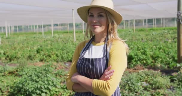 视频中 快乐的高加索女人穿着围裙站在温室里 现代有机农场 农业企业和技术概念 — 图库视频影像