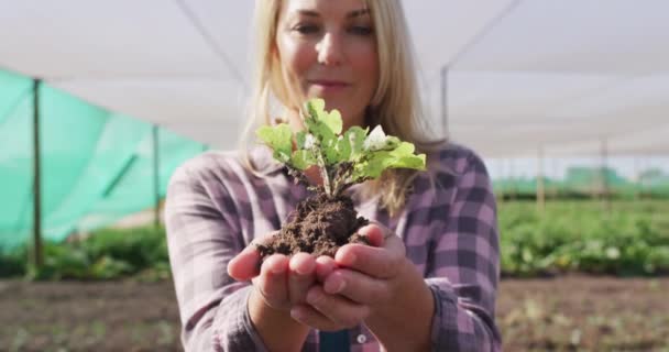 Vídeo Mulher Caucasiana Feliz Segurando Plântulas Agricultura Orgânica Moderna Negócio — Vídeo de Stock