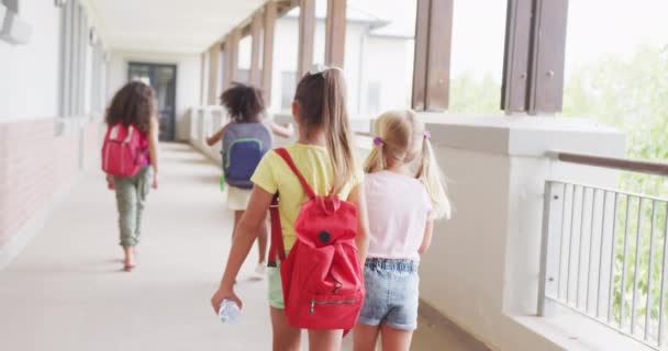 Video Van Achteraanzicht Van Diverse Meisjes Die School Lopen Praten — Stockvideo