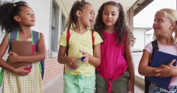 Video Van Gelukkige Diverse Meisjes Lopen School Corridor Praten Basisschool — Stockvideo