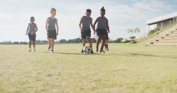 Vídeo Meninos Felizes Diversos Jogando Futebol Campo Esportivo Ensino Primário — Vídeo de Stock