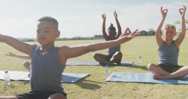 Video Diversos Chicos Practicando Yoga Esteras Día Soleado Educación Primaria — Vídeos de Stock