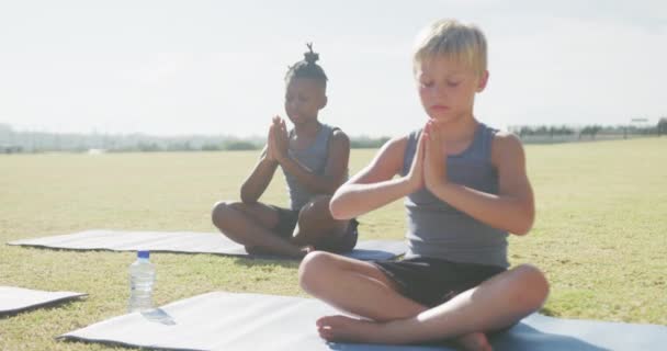 Video Fokus Beragam Anak Laki Laki Berlatih Yoga Tikar Pada — Stok Video