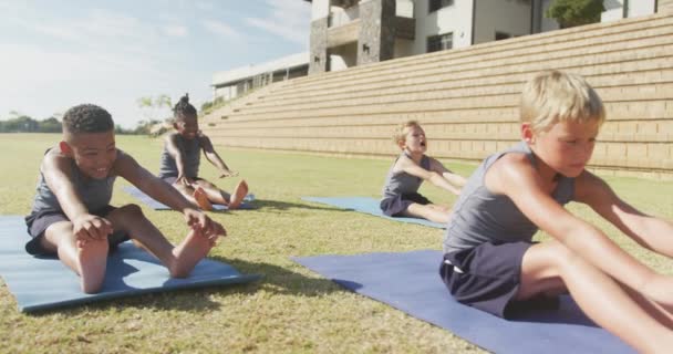 Video Diversos Chicos Enfocados Practicando Yoga Esteras Día Soleado Educación — Vídeo de stock