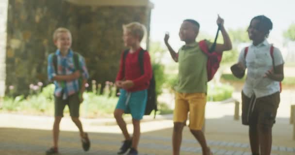 不同类型的快乐男孩在学校门前散步和交谈的视频 小学教育 学习和社会交往 — 图库视频影像