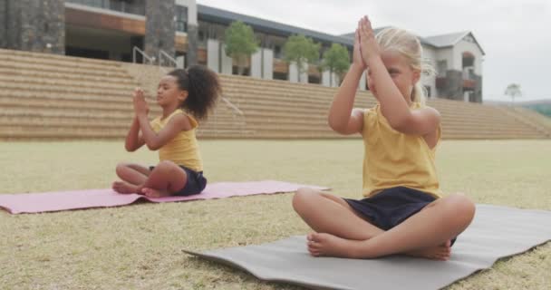 Video Diversas Chicas Enfocadas Practicando Yoga Esteras Frente Escuela Educación — Vídeos de Stock