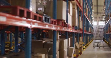 Boş depo, raflarda birden fazla kutu ve yerde merdiven var. küresel iş, nakliyat ve teslimat.