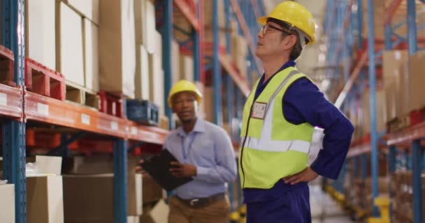 Diversos Trabajadores Masculinos Con Casco Tocando Nuevo Almacén Negocios Globales — Vídeos de Stock