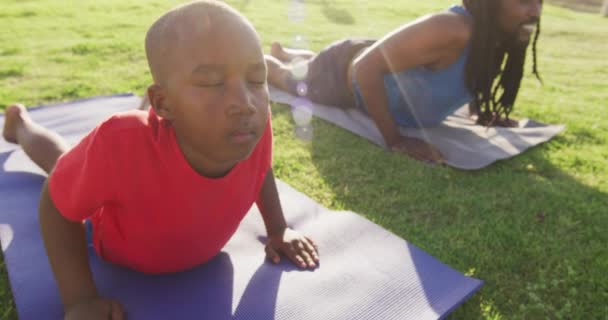 Güneşli Bir Günde Çimde Yoga Yapan Afrikalı Amerikalı Oğul Babanın — Stok video