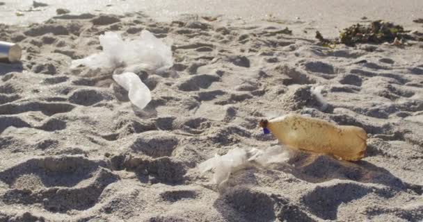 Close Bottiglia Plastica Spazzatura Sdraiato Sulla Spiaggia Sporca Vuota — Video Stock