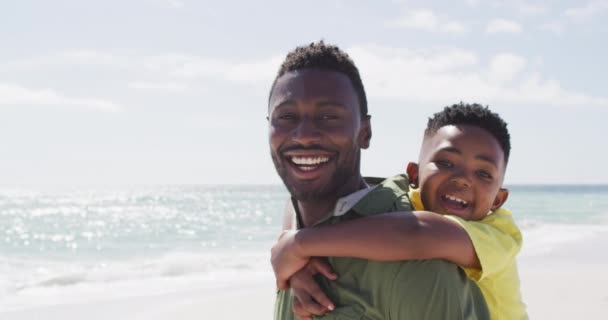 非洲裔美国父亲和儿子在阳光灿烂的海滩上微笑的画像 积极的家庭海滩假期 — 图库视频影像