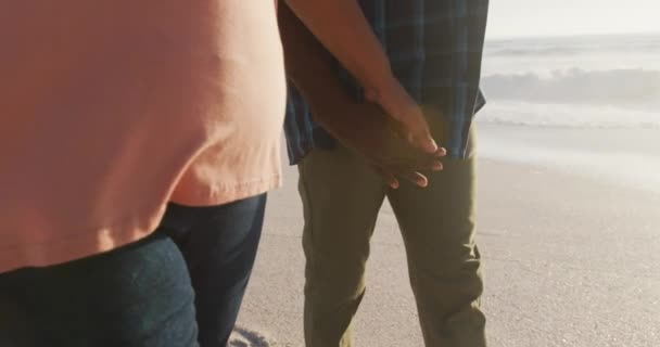 Kıdemli Afro Amerikan Çifti Ele Tutuşup Güneşli Sahilde Yürüyor Sağlıklı — Stok video