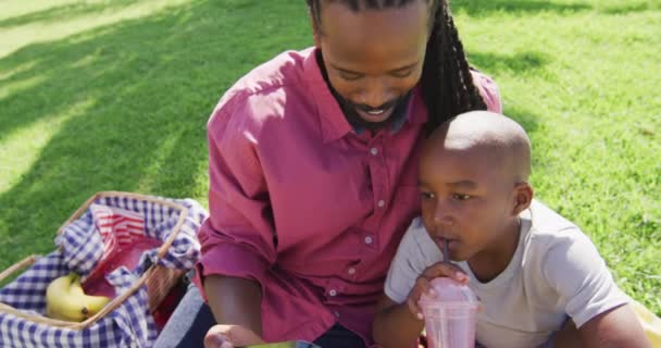 Video Happy African American Father Son Having Picnic Outdoors Taking — Stock Video