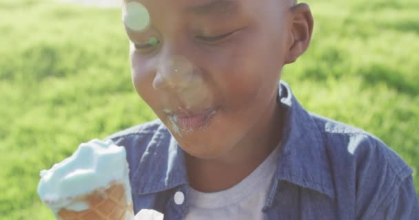 Video Felice Ragazzo Afroamericano Mangiare Gelati Sull Erba Nella Giornata — Video Stock