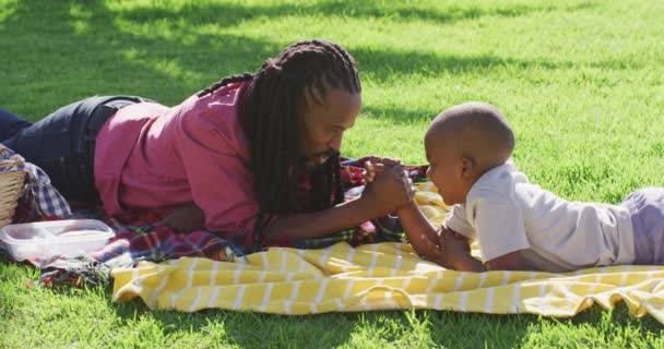 Video Happy African American Father Son Having Picnic Grass Arm — Stockvideo