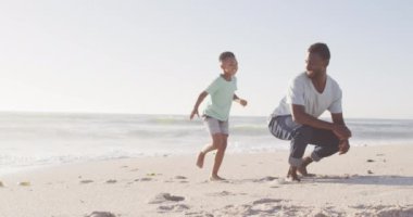 Güneşli sahilde oğlunu taşıyan gülümseyen Afrikalı Amerikalı babanın portresi. sağlıklı, aktif aile plaj tatili.