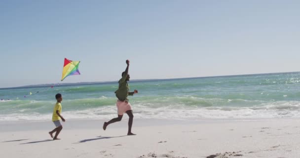 晴れたビーチで凧を飛んで息子とアフリカ系アメリカ人の父親を笑顔 健康的で活動的な家族のビーチホリデー — ストック動画
