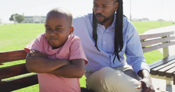 Afro Amerikan Babasının Kızgın Oğluyla Bankta Oturup Konuştuğu Bir Video — Stok video