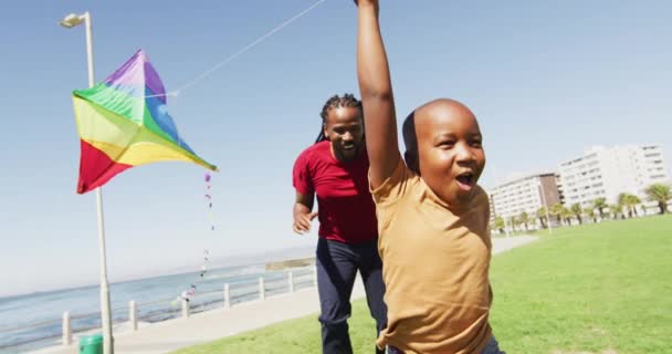 Βίντεο Χαρούμενους Αφροαμερικανούς Γονείς Διασκεδάζουν Χαρταετούς Στην Ύπαιθρο Οικογένεια Ομαδικότητα — Αρχείο Βίντεο