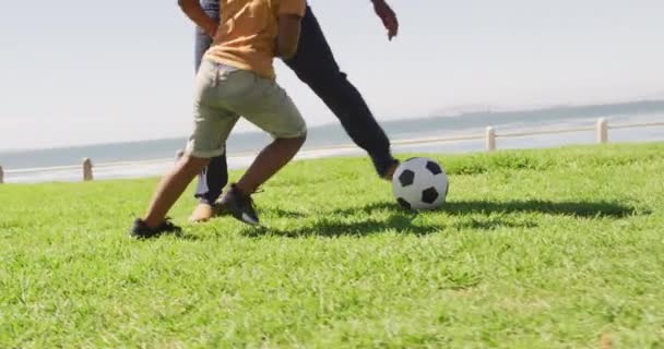 아프리카 미국인 아버지와 밖에서 축구를 즐기는 모습을 비디오입니다 야외에서 질좋은 — 비디오