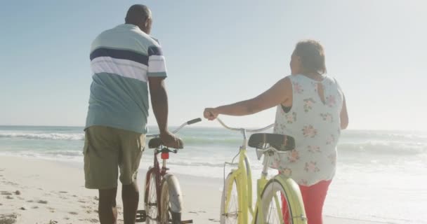 Smiling Senior African American Couple Walking Bicycles Sunny Beach Healthy — Wideo stockowe