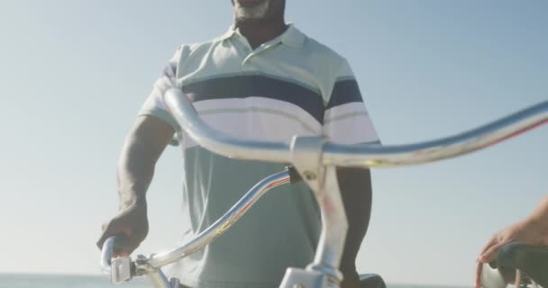 Χαμογελαστό Ζευγάρι Αφροαμερικανών Που Περπατούν Ποδήλατα Στην Ηλιόλουστη Παραλία Υγιείς — Αρχείο Βίντεο