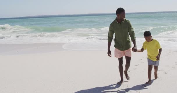 Sorrindo Pai Afro Americano Com Filho Andando Praia Ensolarada Saudável — Vídeo de Stock