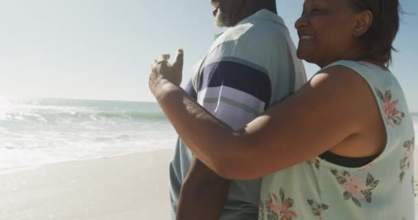 Усміхаючись Старшою Африканською Парою Афроамериканців Вони Обіймаються Дивляться Море Сонячному — стокове відео