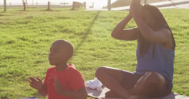 Afrika Kökenli Amerikalı Baba Oğlunun Güneşli Bir Günde Çimenlerde Yoga — Stok video