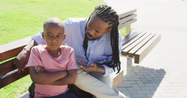 Video Van Afro Amerikaanse Vader Zittend Bank Pratend Met Boze — Stockvideo