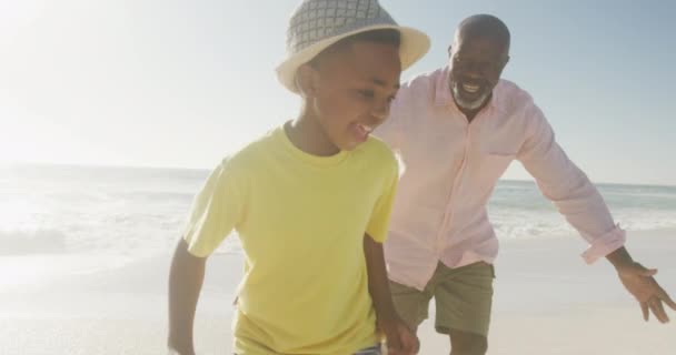 晴れたビーチで遊んで孫と一緒に笑顔のシニアアフリカ系アメリカ人男性 健康的で活発な退職ビーチの休日 — ストック動画
