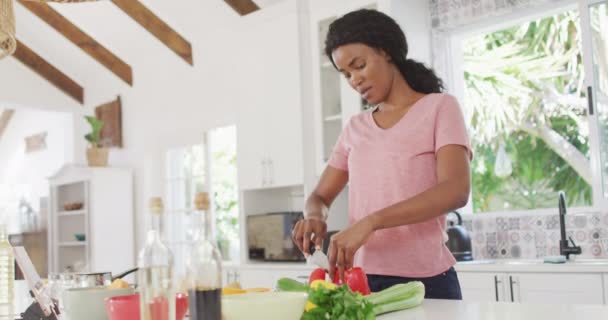 Video African American Woman Preparing Meal Kitchen Lifestyle Household Spending — Αρχείο Βίντεο