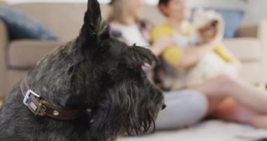 Beyaz bir kadın evde köpeğiyle oynarken karısını alnından öpüyor. lgbt ilişkisi ve yaşam tarzı konsepti