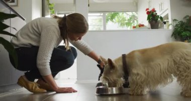 Beyaz bir kadın evdeki oturma odasında köpeklerini besliyor. evcil hayvan sevgisi ve bakım kavramı