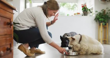 Beyaz bir kadın evdeki oturma odasında köpeklerini besliyor. evcil hayvan sevgisi ve bakım kavramı