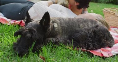 Beyaz lezbiyen çift piknik sırasında bahçede battaniyeye uzanmış köpeğini öpüyor. lgbt ilişkisi ve yaşam tarzı konsepti