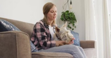 Beyaz kadın evdeki kanepede otururken köpeğiyle oynuyor. evcil hayvan sevgisi ve bakım kavramı
