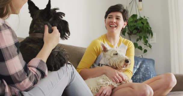 Pareja Lesbianas Caucásicas Jugando Con Sus Perros Sentados Sofá Casa — Vídeo de stock