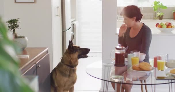 Donna Caucasica Che Mangiare Suo Cane Nel Soggiorno Casa Pet — Video Stock