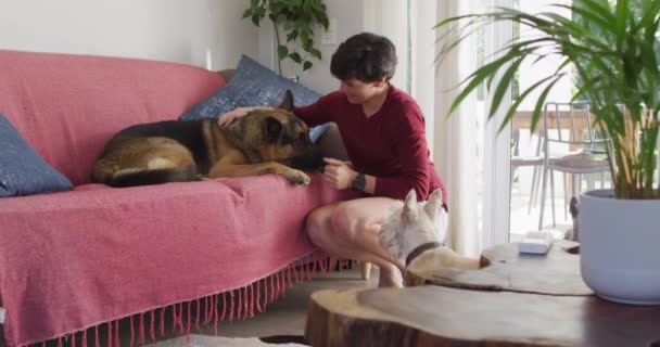 Vit Kvinna Leker Med Sina Två Hundar Vardagsrummet Hemma Husdjur — Stockvideo