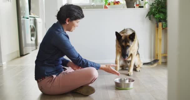 白人妇女在家里的客厅里喂狗 爱护动物的概念 — 图库视频影像
