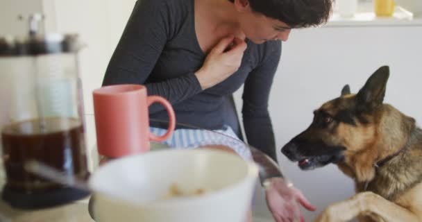 白人妇女在家里的客厅里喂狗 亲吻狗 爱护动物的概念 — 图库视频影像