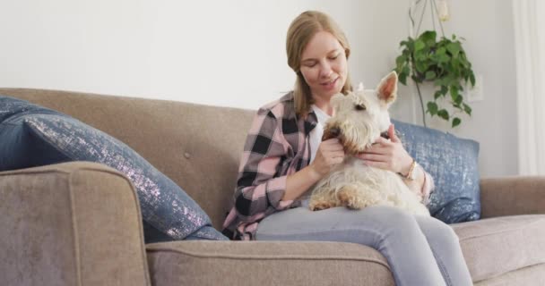 Fehér Játszik Kutyájával Miközben Otthon Kanapén Kedvtelésből Tartott Állatok Szeretete — Stock videók