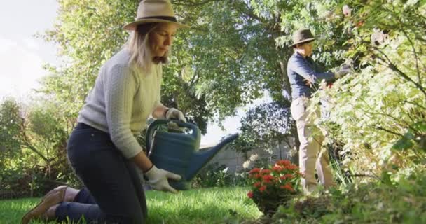 레즈비언 커플들은 정원에서 모자를 정원에서 정원을 가꾸고 있습니다 Lgbt 관계와 — 비디오