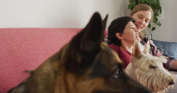 Белая Лесбийская Пара Разговаривает Друг Другом Сидя Диване Своими Собаками — стоковое видео