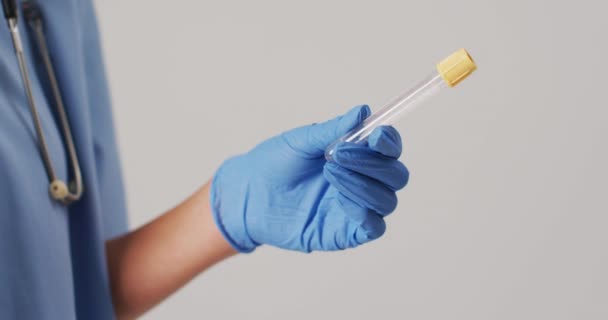 Video Biracial Female Doctor Holding Test Tube Blue Background Global — Stok video