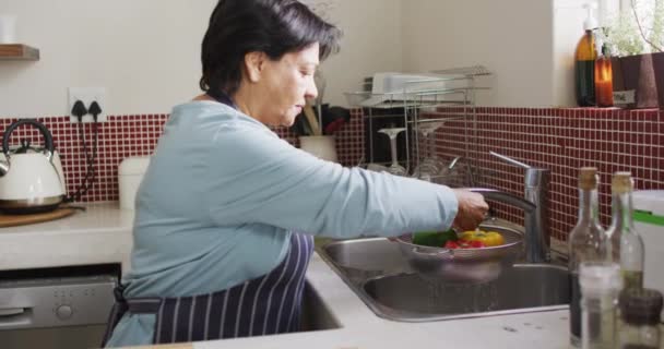 Senior Biracial Woman Washing Vegetables Wearing Apron Kitchen Alone Healthy — Vídeos de Stock